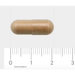 AOV 828 Salvia-extract -Winkel Voor Voedingssupplementen 1029464 4