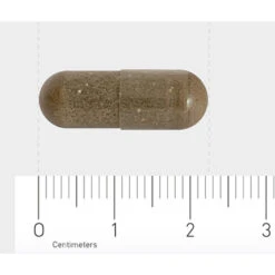 Orthica Slaap Support -Winkel Voor Voedingssupplementen 1029812 4