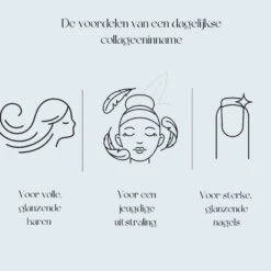 Premium Collageen Hydrolysaat Poeder Met Vitamine C Aardbeismaak -Winkel Voor Voedingssupplementen 1055227 4