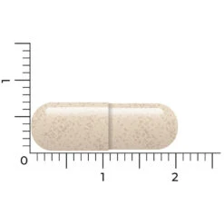 Vitakruid Ashwagandha Ksm -Winkel Voor Voedingssupplementen 1057979 5